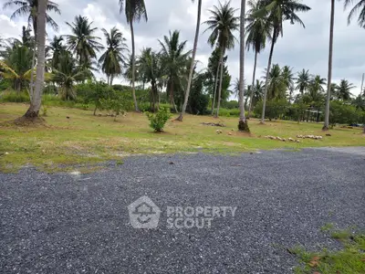 Scenic view of tropical landscape with palm trees and open grassy area, ideal for real estate development.