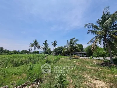 image_rental-19498570