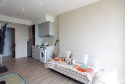 Modern living room with washing machine and cozy sofa in bright apartment