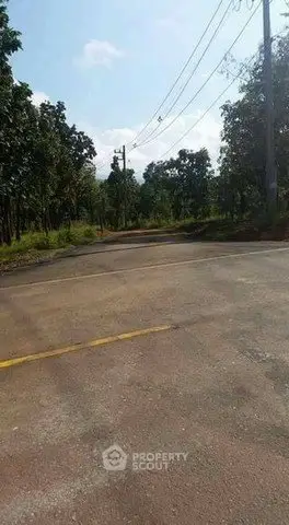 Scenic road view surrounded by lush greenery and trees, ideal for tranquil living.