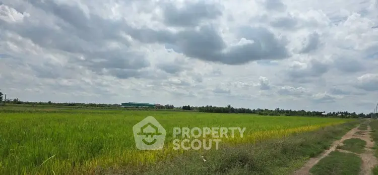 Expansive green field under a cloudy sky, perfect for agricultural development.
