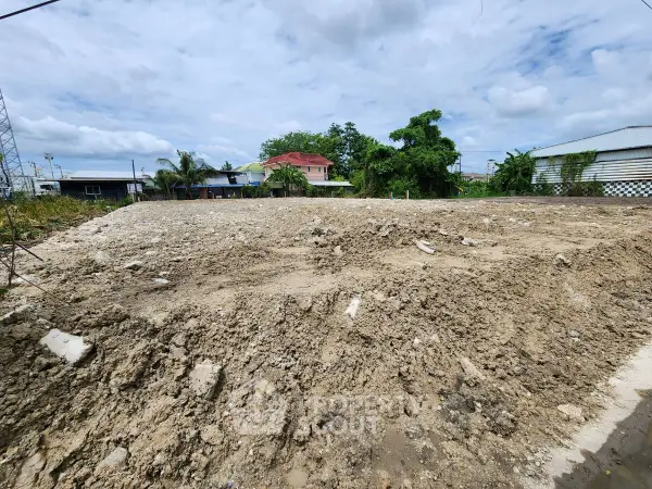 image_rental-30209384