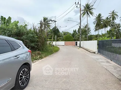 Scenic suburban street with lush greenery and modern driveway entrance