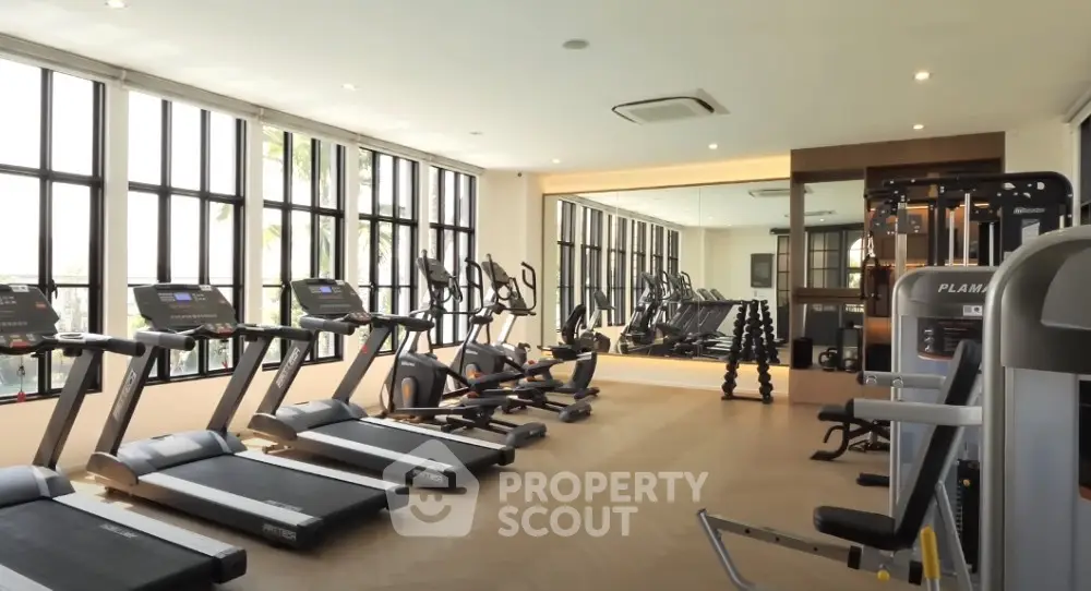Spacious modern gym with large windows and state-of-the-art equipment