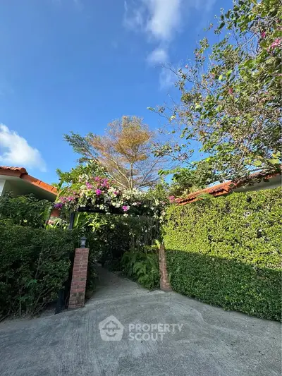 image_rental-31797043