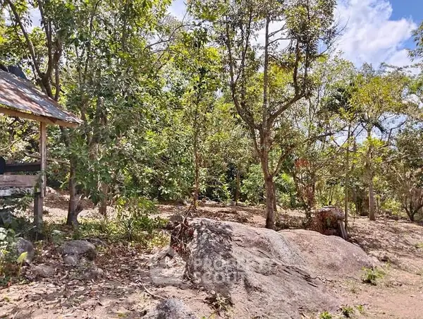 image_rental-11898835