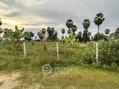 image_rental-29531417