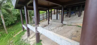 Elevated house structure with concrete and wooden pillars in lush green setting.