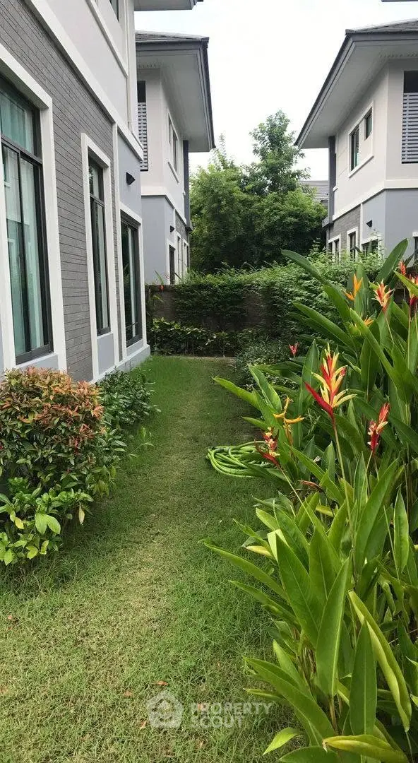 Charming garden view of modern townhouse with lush greenery and elegant architecture.