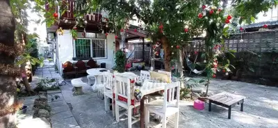 Charming garden with outdoor seating and lush greenery in a cozy backyard setting.