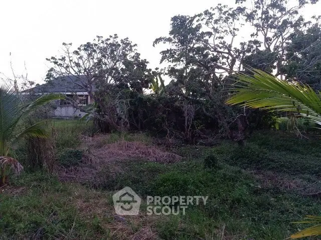 Lush green plot with mature trees, ideal for building a dream home or investment property.