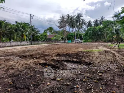 Vacant land with palm trees, ideal for development in tropical setting.
