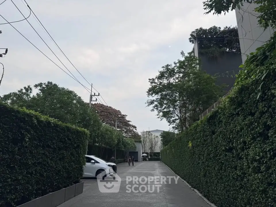 Charming residential driveway with lush greenery and modern architecture.