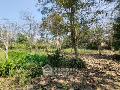 Spacious garden area with lush greenery and mature trees, perfect for nature lovers.