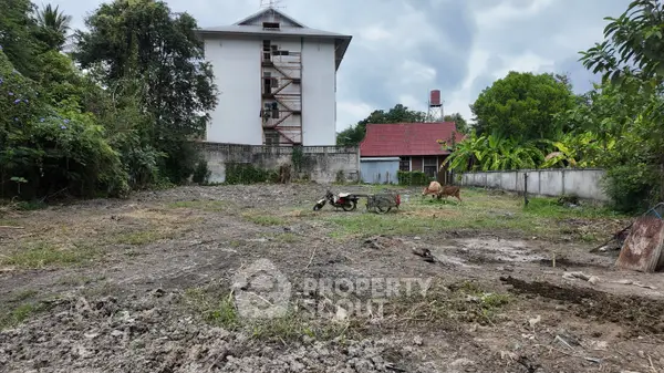 image_rental-23531202