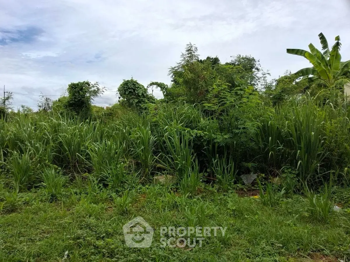 Lush green vacant land with potential for development under a clear sky.