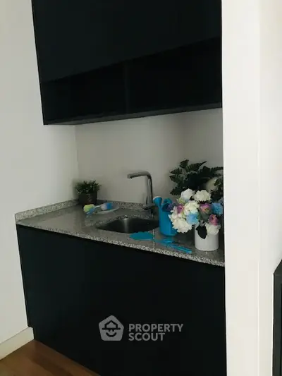 Modern compact kitchen with sleek black cabinets and granite countertop