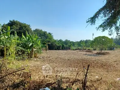 image_rental-31386332