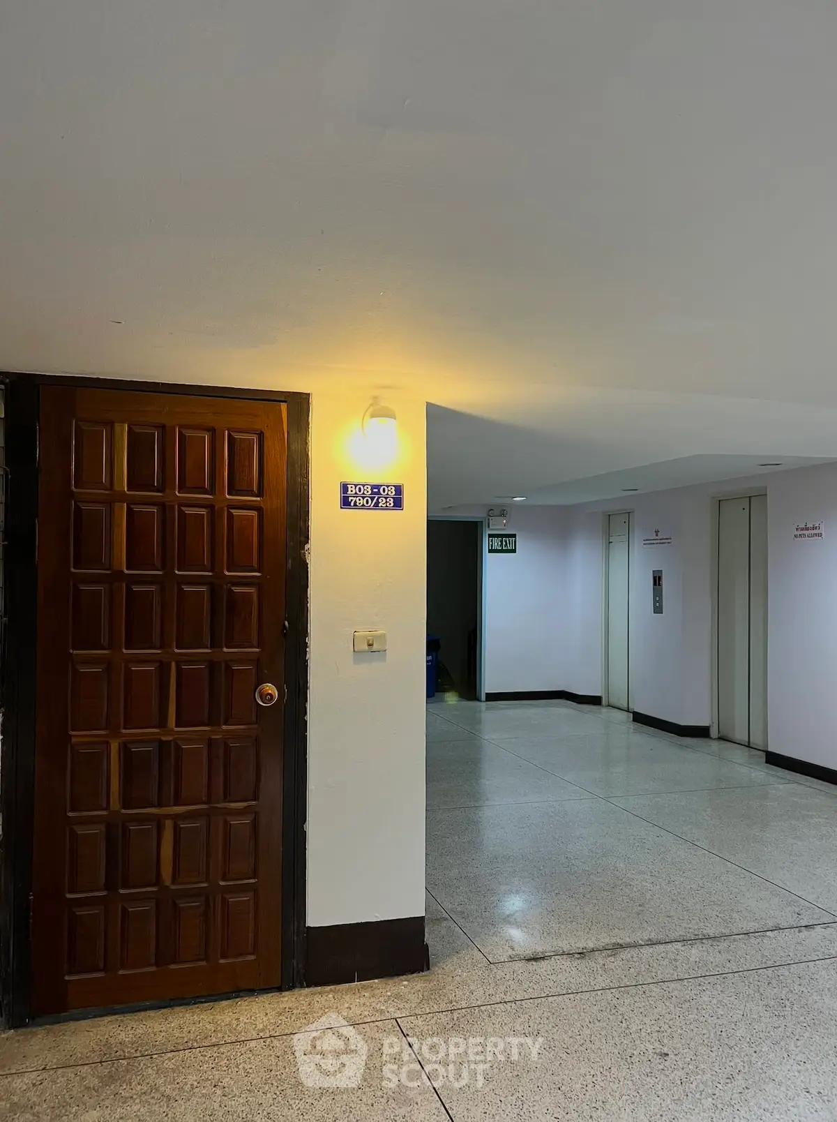 Spacious apartment corridor with wooden door and bright lighting, ideal for secure and comfortable living.