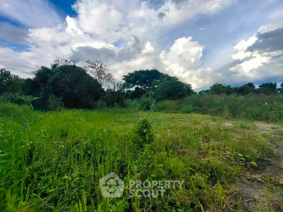 Expansive green land with lush vegetation under a vibrant sky, perfect for development opportunities.