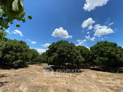 Expansive land with lush greenery under a bright blue sky, perfect for agricultural development.
