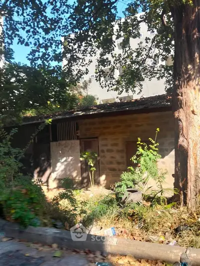 Charming rustic exterior with lush greenery and mature trees, perfect for nature lovers.