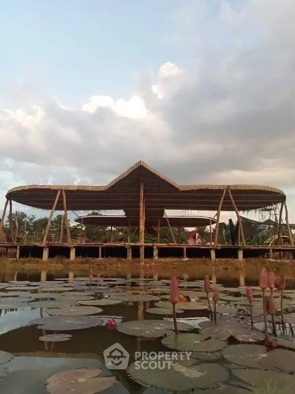 image_rental-12462795