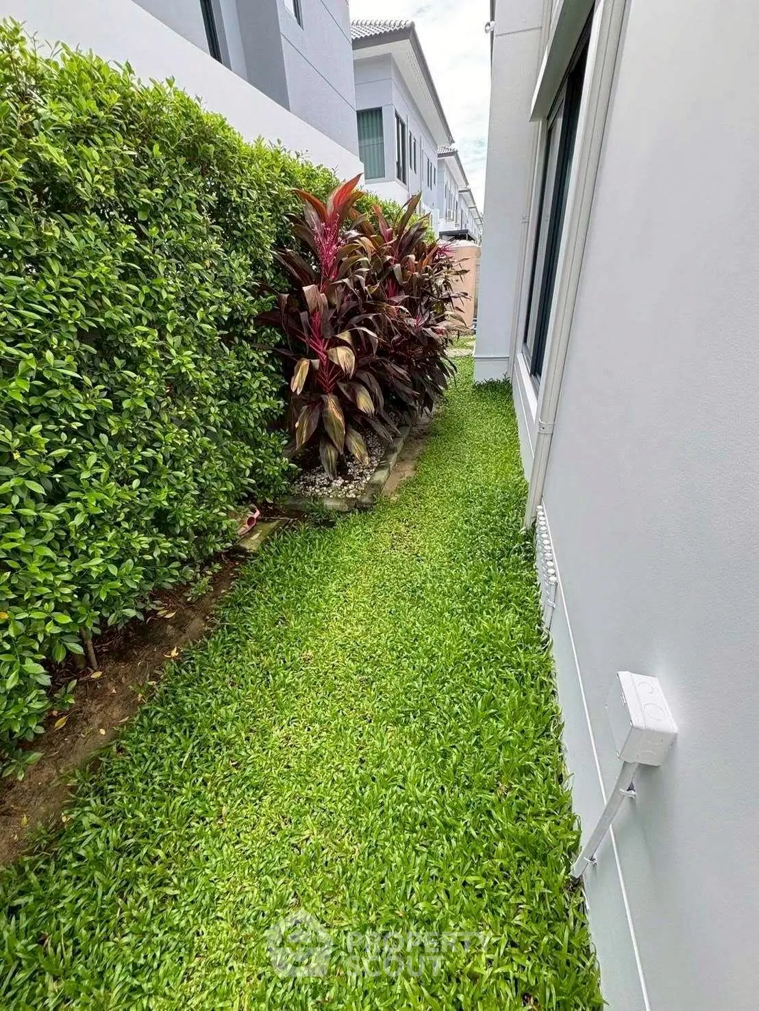 Charming garden pathway beside modern house with lush greenery