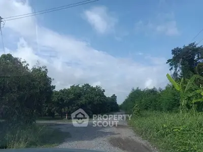 Scenic rural road surrounded by lush greenery and trees under a clear blue sky.