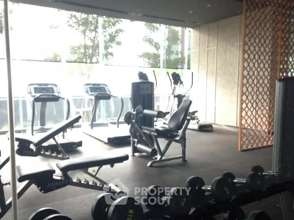 Modern gym with state-of-the-art equipment and natural light, perfect for fitness enthusiasts.