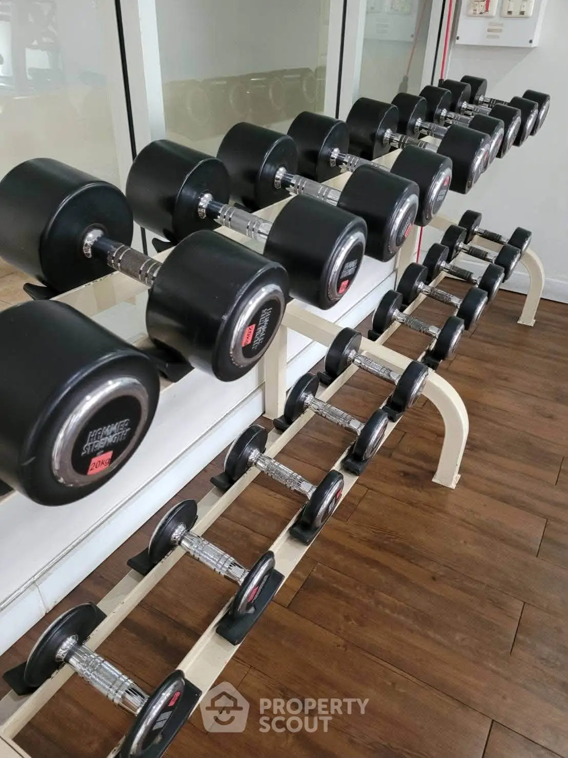 Modern gym with sleek dumbbell rack on polished wooden floor