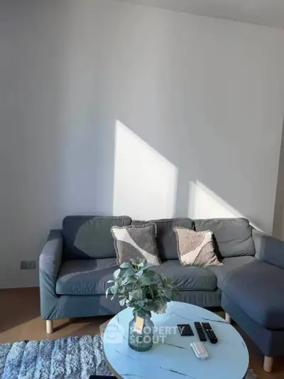 Modern living room with stylish gray sofa and decorative pillows, featuring a chic coffee table and cozy ambiance.