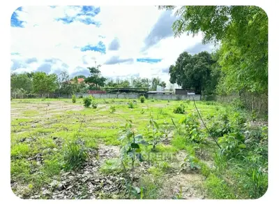 Expansive green land plot with lush vegetation and clear blue sky, ideal for development.
