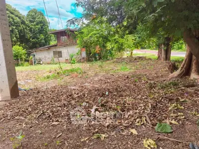 Vacant land with lush greenery, ideal for development in a serene location.