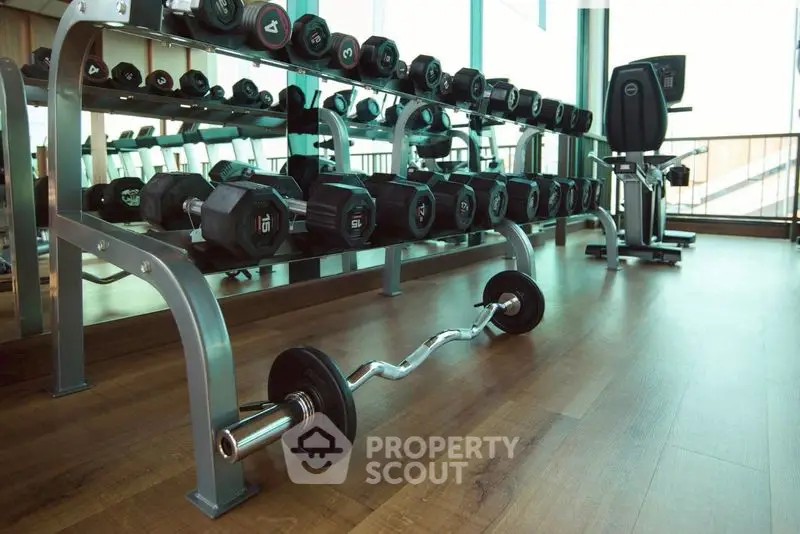 Modern gym with state-of-the-art equipment and weights, perfect for fitness enthusiasts.