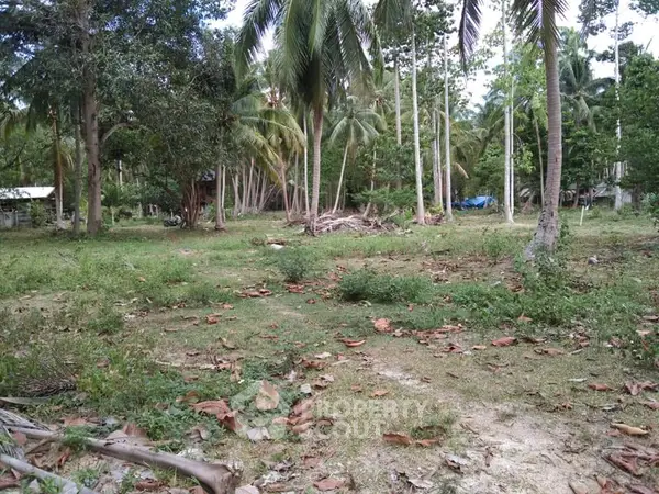 image_rental-13656149