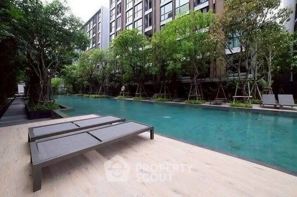 Luxurious condo pool area with modern loungers and lush greenery
