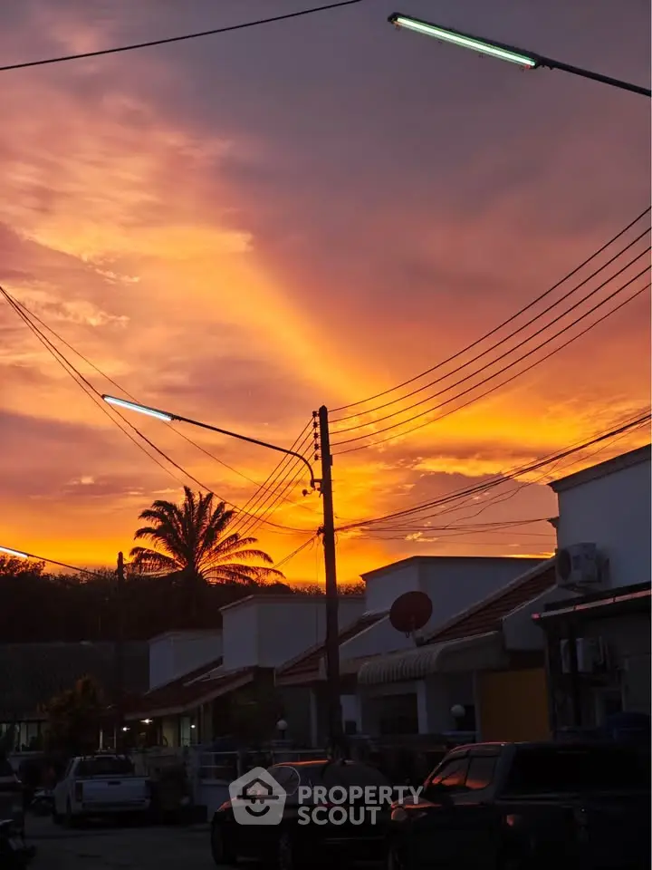 Stunning sunset view over suburban houses with palm trees and vibrant sky.