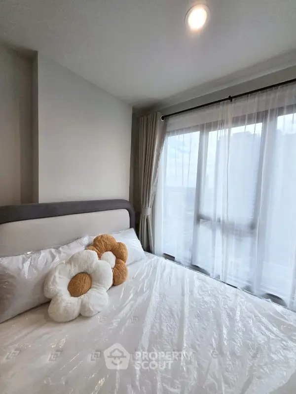 image_rental-27230518