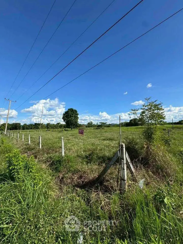 Expansive green land with clear blue sky, perfect for development opportunities.