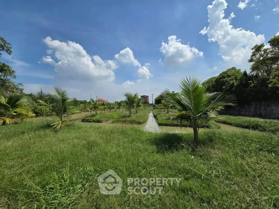 Expansive lush garden with palm trees under a vibrant blue sky, perfect for serene outdoor living.