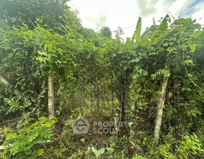 Screenshot 2569-01-22 at 08.48.33.jpg