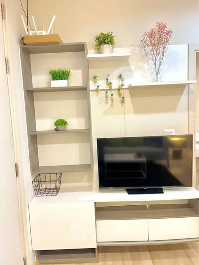 Modern living room with stylish TV unit and decorative plants