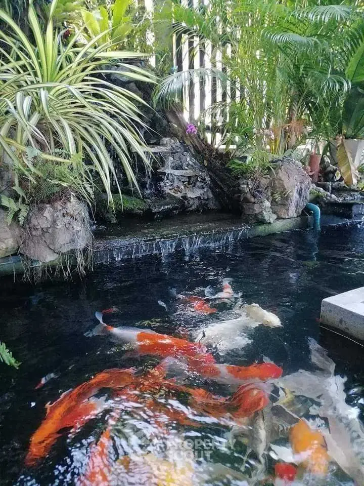 Stunning koi pond with lush greenery creating a serene garden oasis.