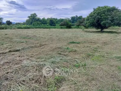 Expansive land plot with lush greenery and mature trees, perfect for development or agriculture.