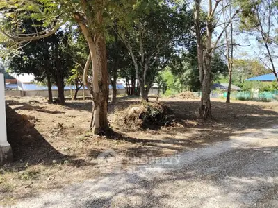 Spacious plot of land with mature trees, ideal for development or landscaping projects.