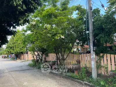 Charming residential street with lush greenery and wooden fence
