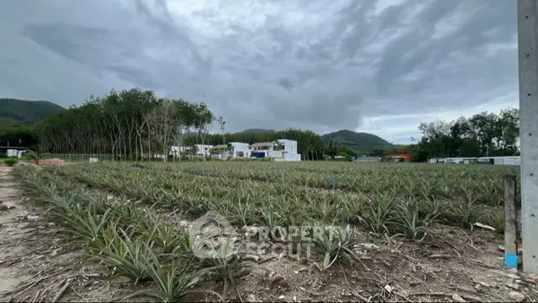 image_rental-27097274