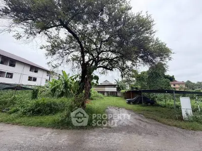 Spacious residential plot with lush greenery and mature trees, ideal for development or investment opportunities.
