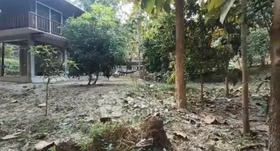 Screenshot 2026-04-13 194901.png